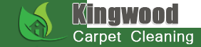 Best Carpet Cleaning